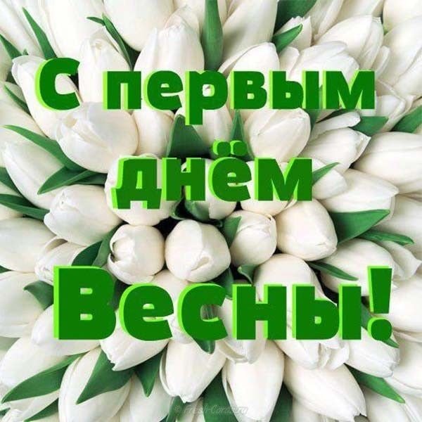 С первым днём ВЕСНЫ!