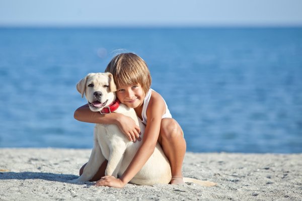Dogs-boys-beach-retriever-smile-sobaka-malchik-rebenok-more