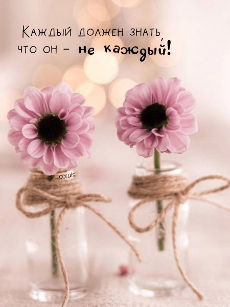 IMG 20250528 153005