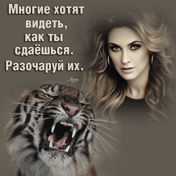 IMG 20260114 024334