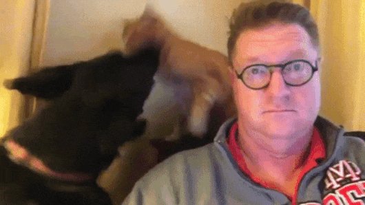 Невозмутимость