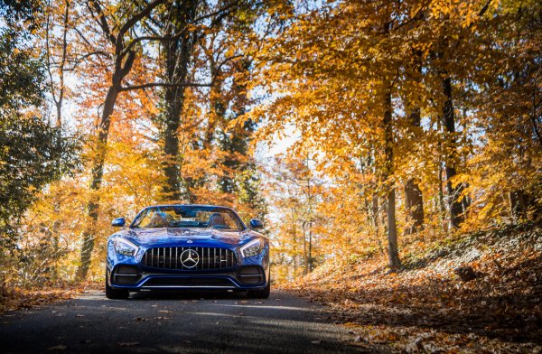 Mercedes-benz-amg-gt-c-roadster-2018-vid-speredi-2