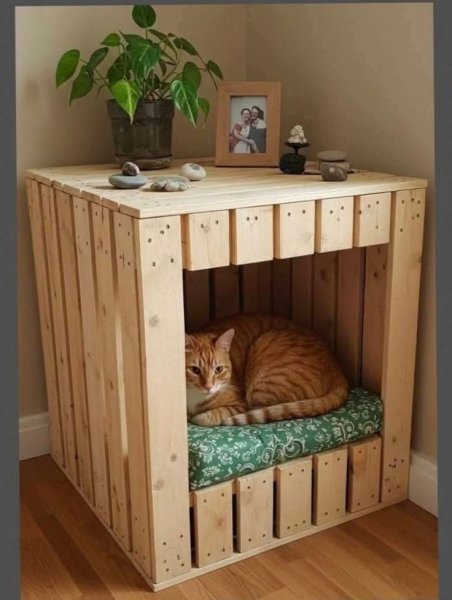 Cf4a2fba600ce7500e4c574a869de42c