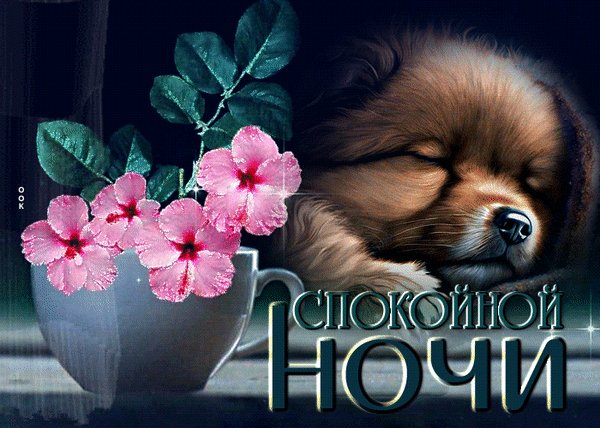 Анимированная открытка спокойной ночи (16)