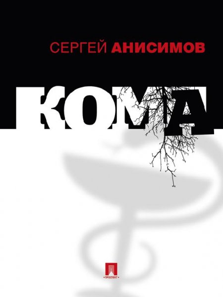 Сергей Владимирович Анисимов-Кома