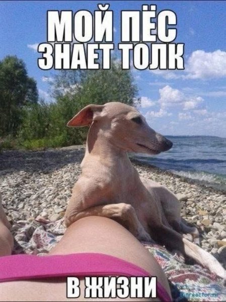 FB IMG 1777393455113