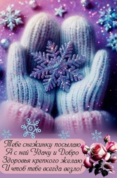 IMG 20251217 131822