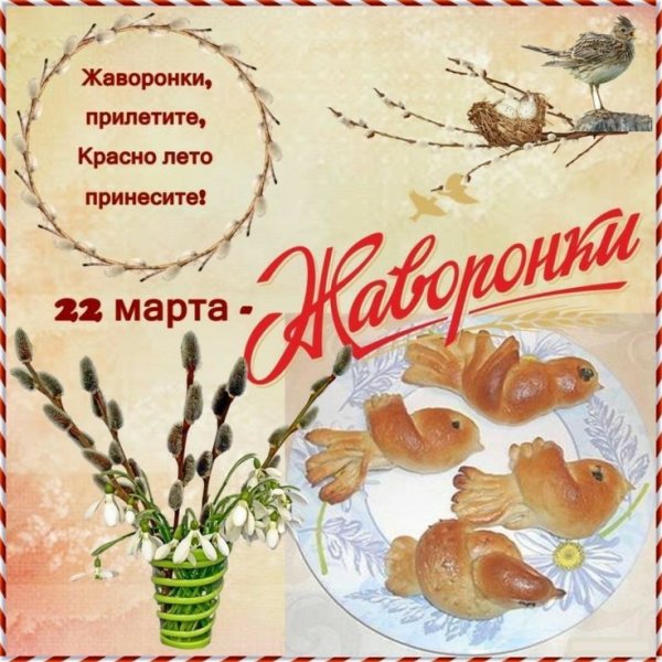 D70ff86fe5b13ba25206090f92943dfc