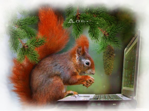 0 c6ad7 b7e7d1d4 orig