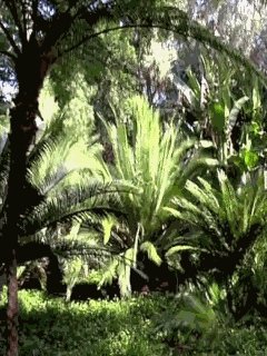 clvzoM4uziPw1226410. 000