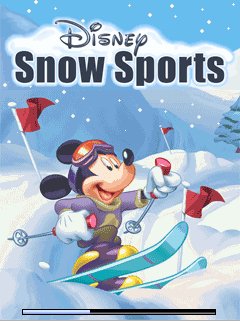 Disney Snow Sports