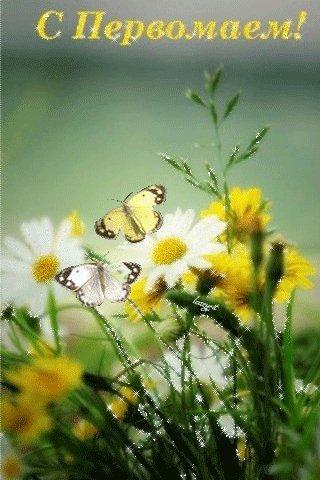 С первомаем!