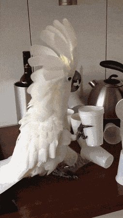 Понаставляли тут