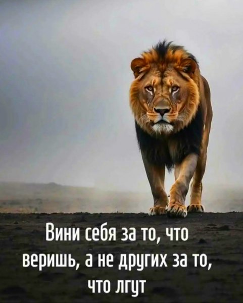file_99353078