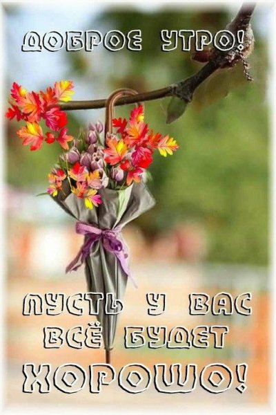 IMG-2f39a8819844e339469b646ac72ffaa7-V