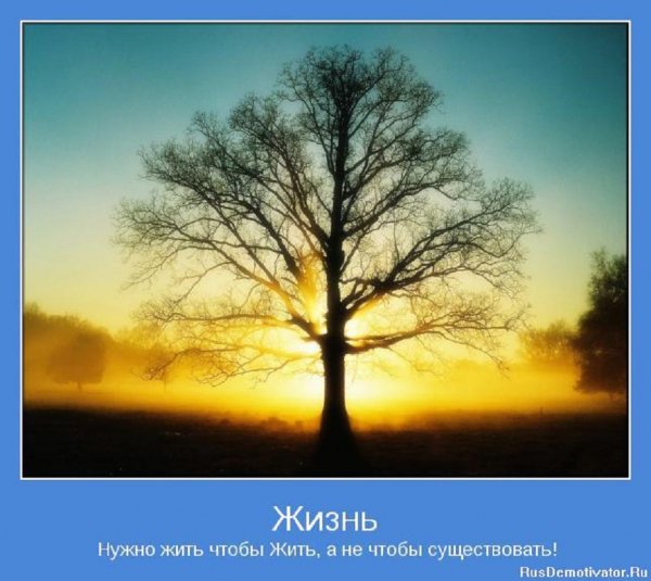 Нужно жить, чтобы жить, а не существовать