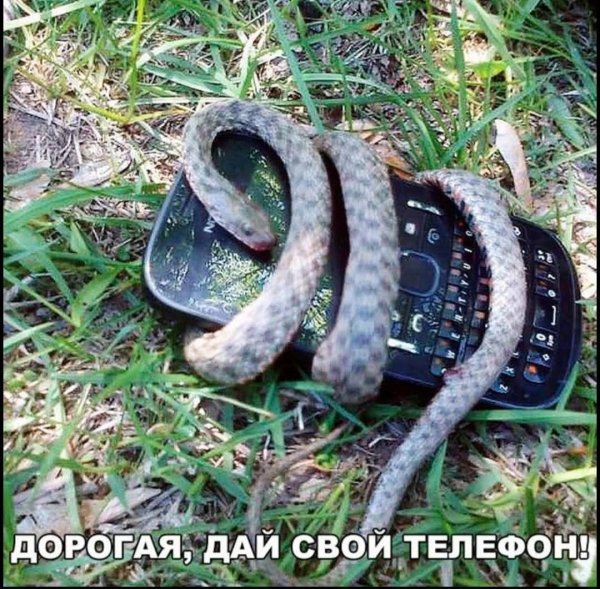 FB IMG 1777393351827