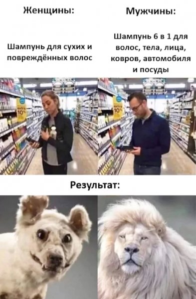 file_101776641