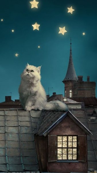 wallpaper 360x640 14 25