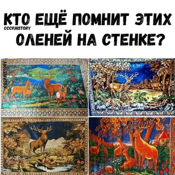 FB IMG 16171917476166112