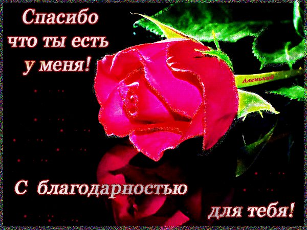 spasibo-chto-ty-est-u-menya
