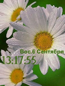 Ромашки Alla1411 v.49