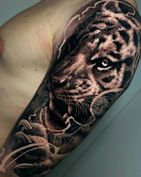 IMG 20250511 202216 222