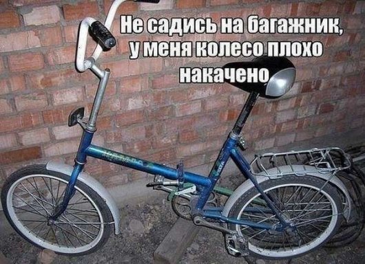 вырослишщдшщдшщд