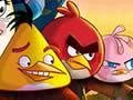 Rio-Man Angry Birds
