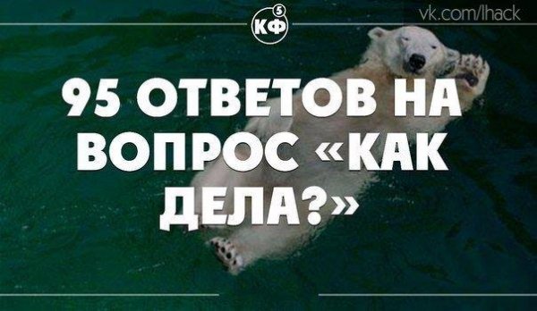 95 ответов на вопрос Как дела