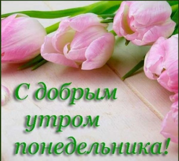 С добрым утром понедельника!