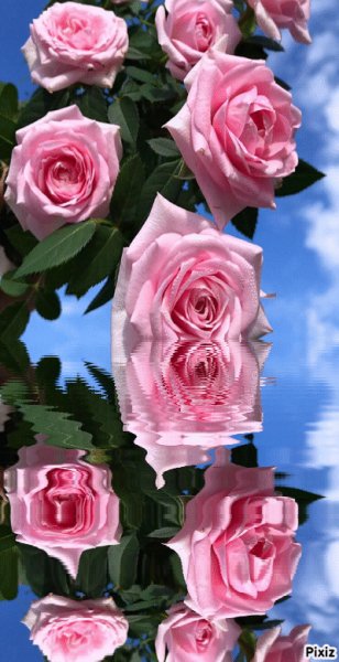 file_95992622