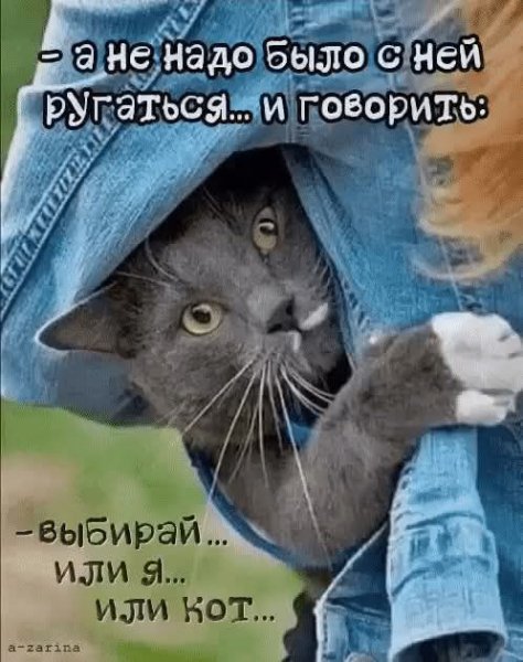 FB IMG 1774527981775