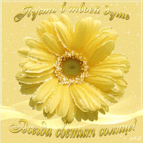 Пусть в твоей душе