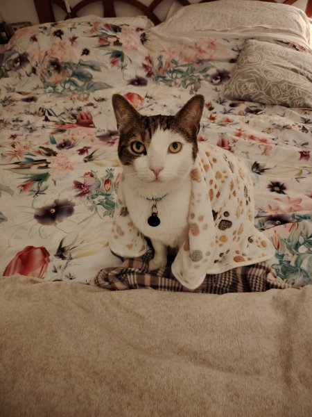 FB IMG 1773951126607