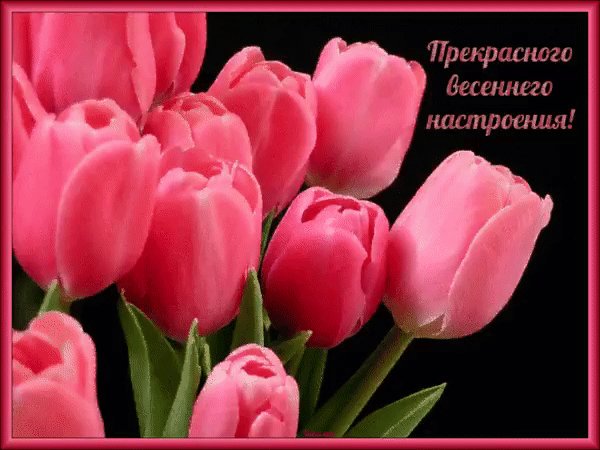 IMG 20170228 135535 27