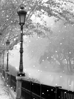 Padaet sneg... (havafara)