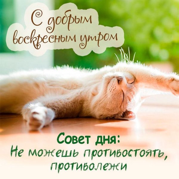 8aaf03f8e48ca03548c8e2d2381b10f6