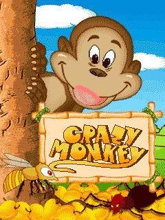 crazy monkey