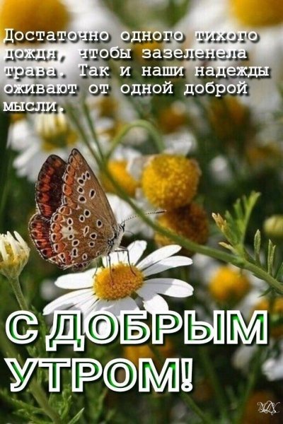 Помолимся