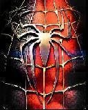 Spiderman31