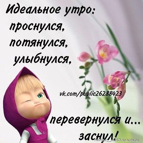 идеальное утро