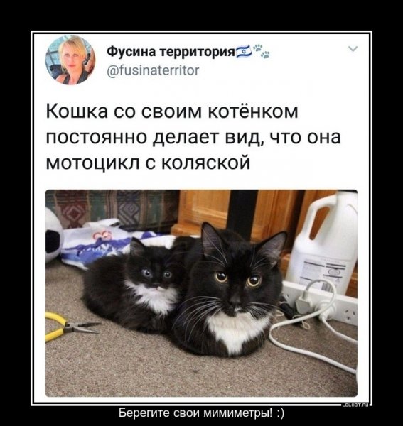 lol1556054383