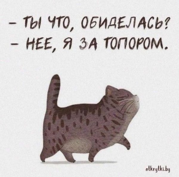 Не обиделась
