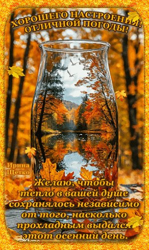 GIF-603f94e592d26231fce4502caa72c168