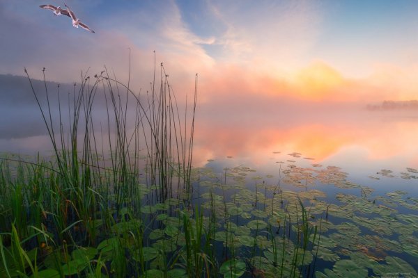 IMG 20220914 viter59