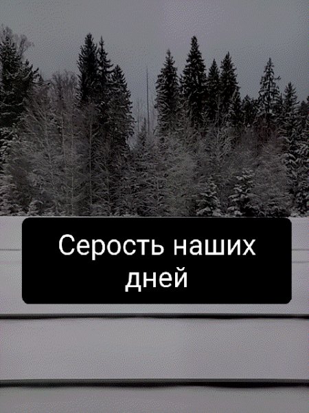 Серость наших дней