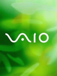 Vaio