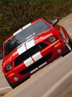 SHELBY GT500