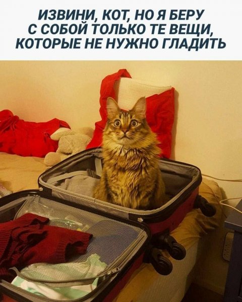 FB IMG 1777318347976